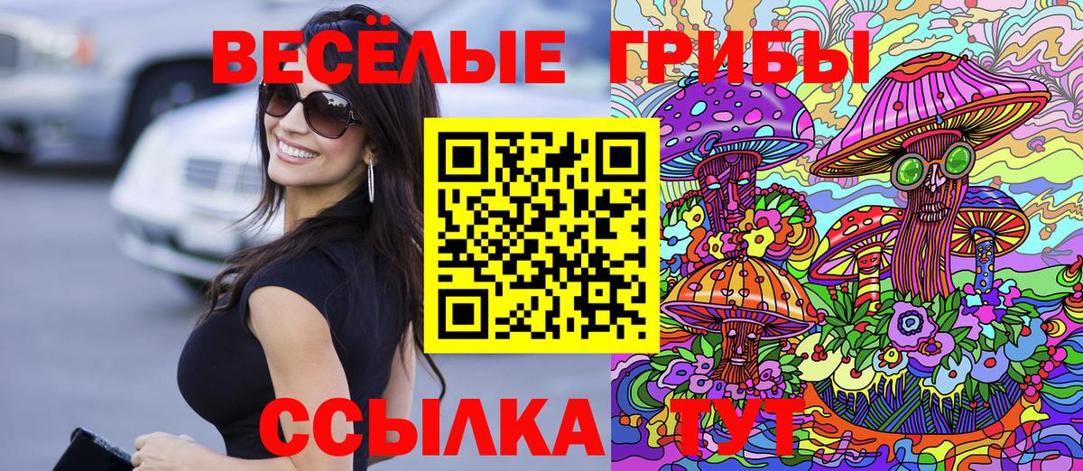Грозный  Псилоцибиновые грибы ЛСД  Псилоцибиновые грибы Psilocybine cubensis  Вход с VPN 