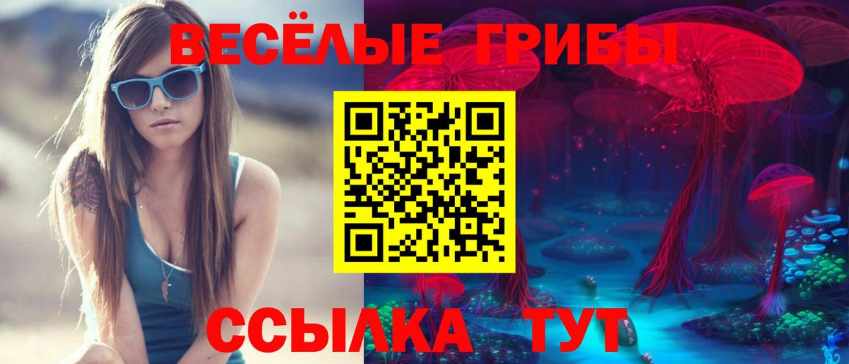 Псилоцибиновые грибы Cubensis Грозный