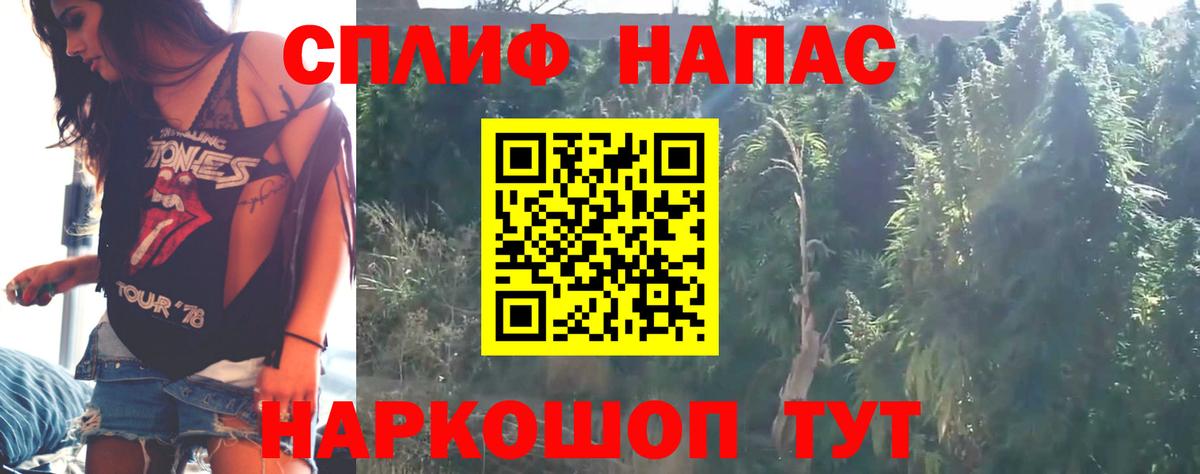 Бошки марихуана сатива Грозный